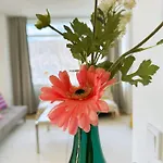 New Luxury 110Sqm Apartment With Terrace And Great Location