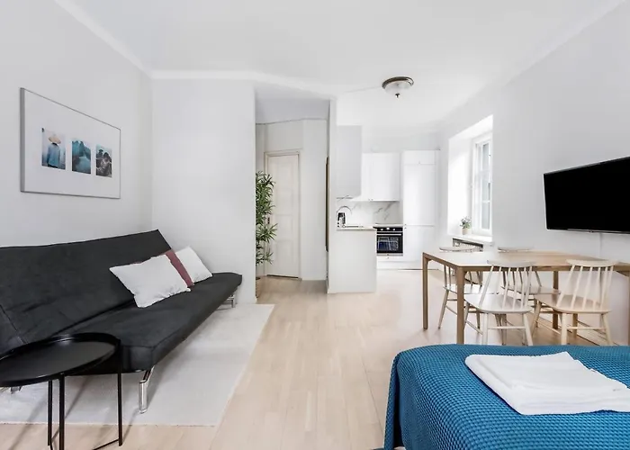 Wehost Modern Scandinavian Studio In Trendy Kallio