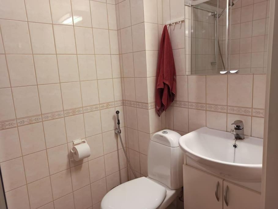 Huoneisto Cosy Loft *