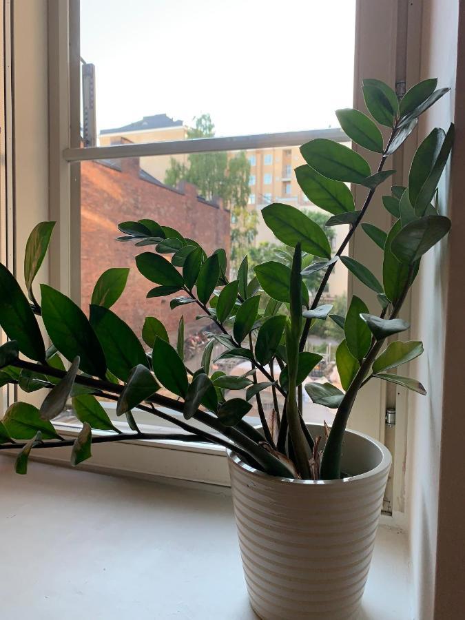 Big Studio Close To Center With Wifi Huoneisto Helsinki