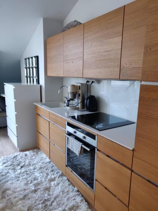 Huoneisto Cozy Penthouse Loft