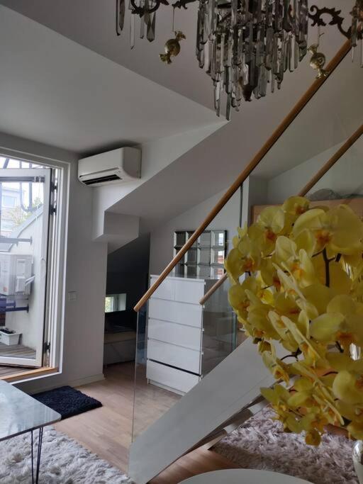 Cozy Penthouse Loft Huoneisto *