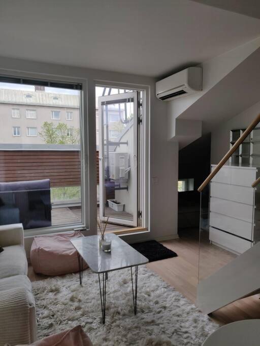 Cozy Penthouse Loft Huoneisto