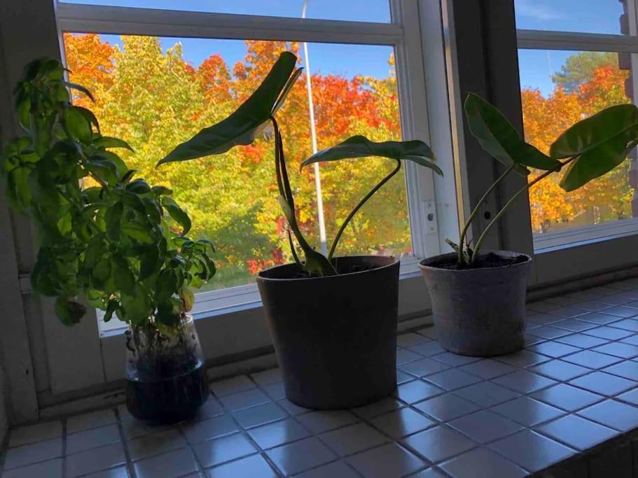 Toukola 60 M2 Apartment. Mi Casa Tu Casa Huoneisto