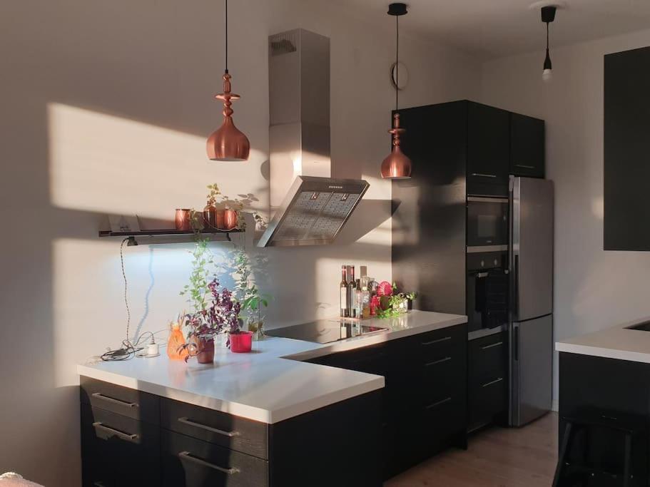 Huoneisto Top Floor Spacious Apt In Heart Of Kallio