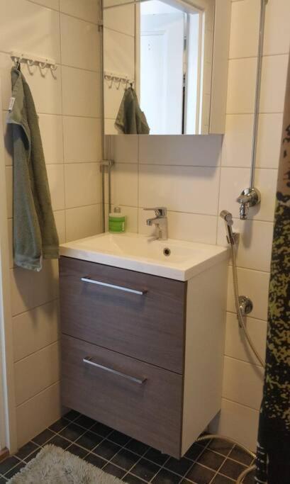 Top Floor Spacious Apt In Heart Of Kallio Helsinki