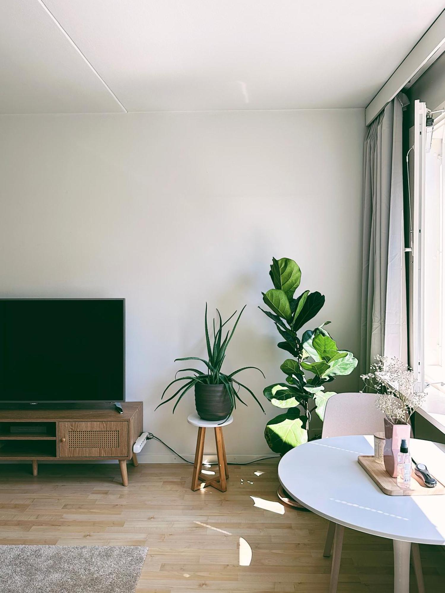 Cozy Flat Next To Tram And Bus Stations * Helsinki