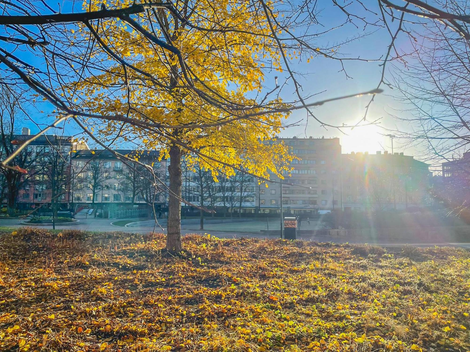 Residential Homes Eerikinkatu Huoneisto Helsinki