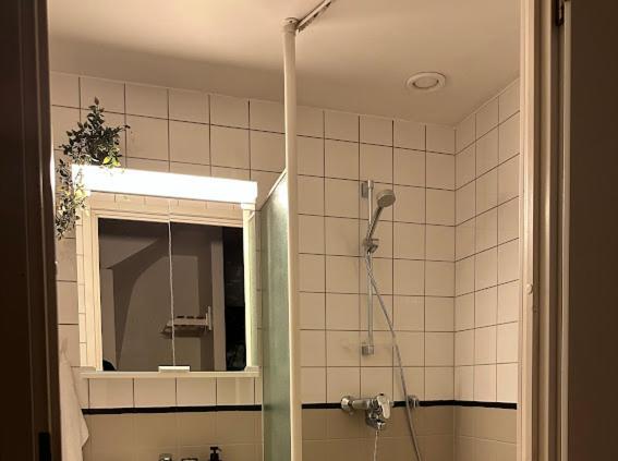 3br Rooftop With Sauna And Terrace Huoneisto