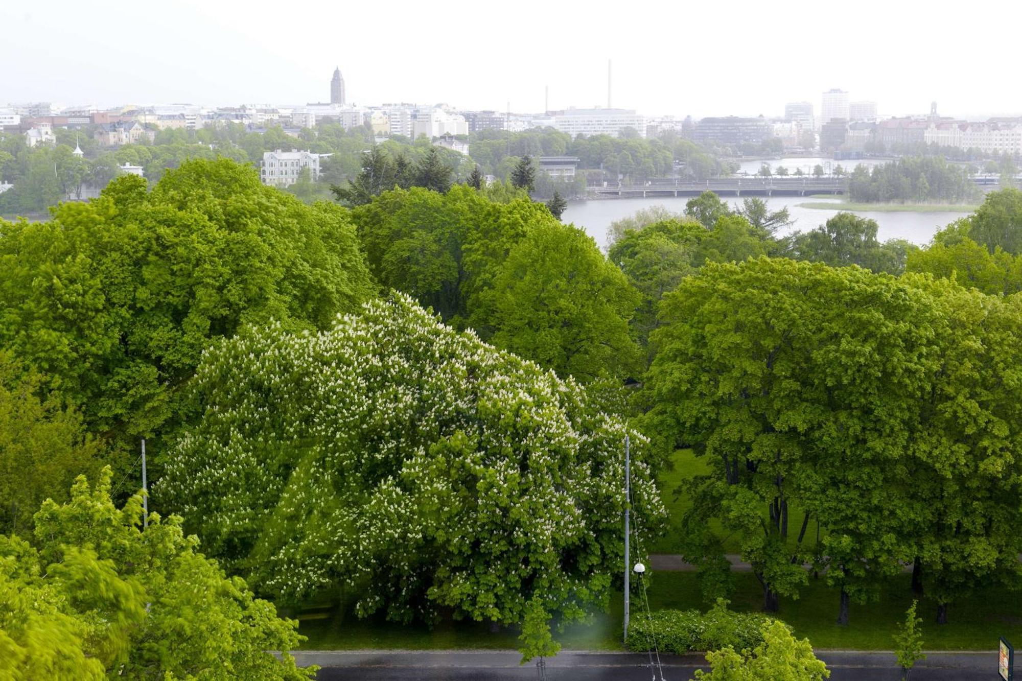 Scandic Park