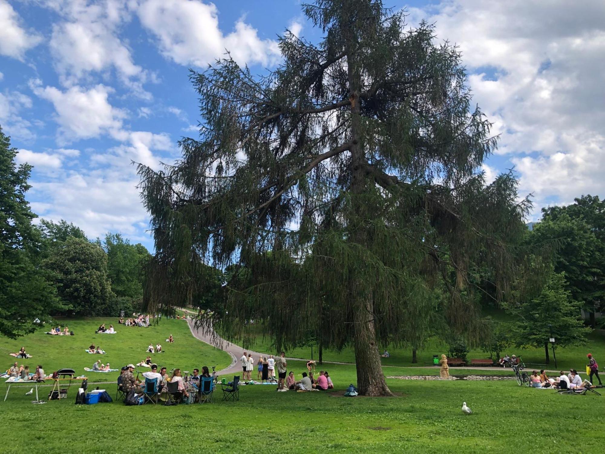 Scandinavian In Heard Helsinki