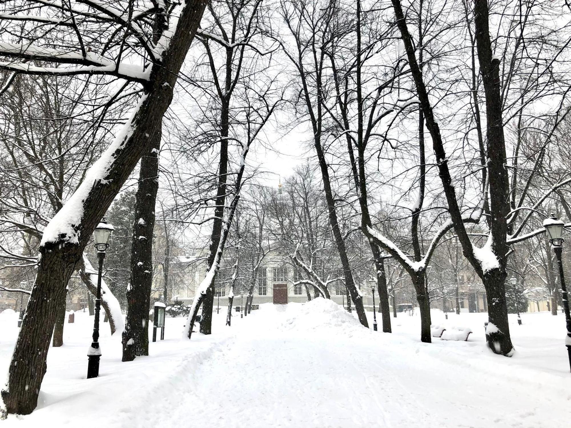 Huoneisto Scandinavian In Heard
