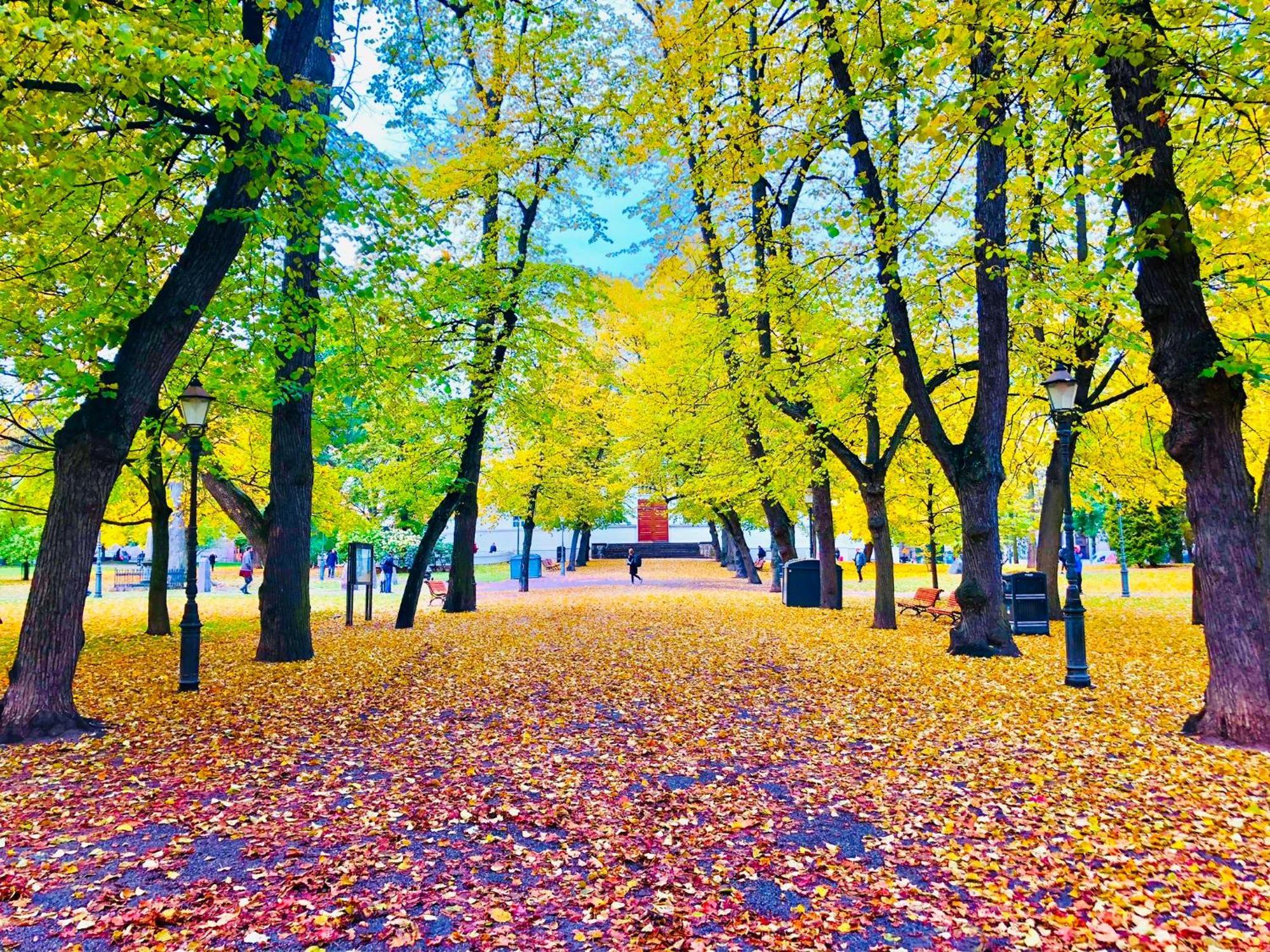 Scandinavian In Heard * Helsinki