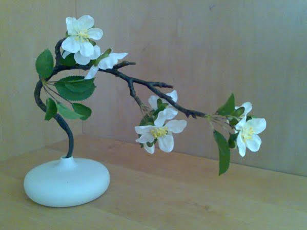 Rivoli Jardin *