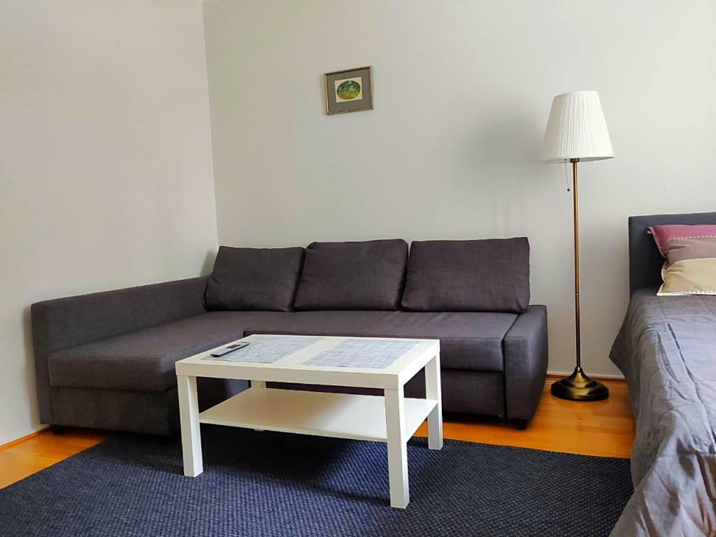 Spacious Diana In City Center *