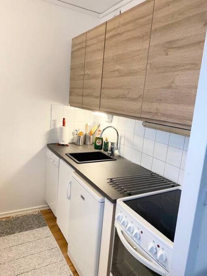 Kallio-1 - Back In Time With A Comfy - 2-room-apt Huoneisto Helsinki